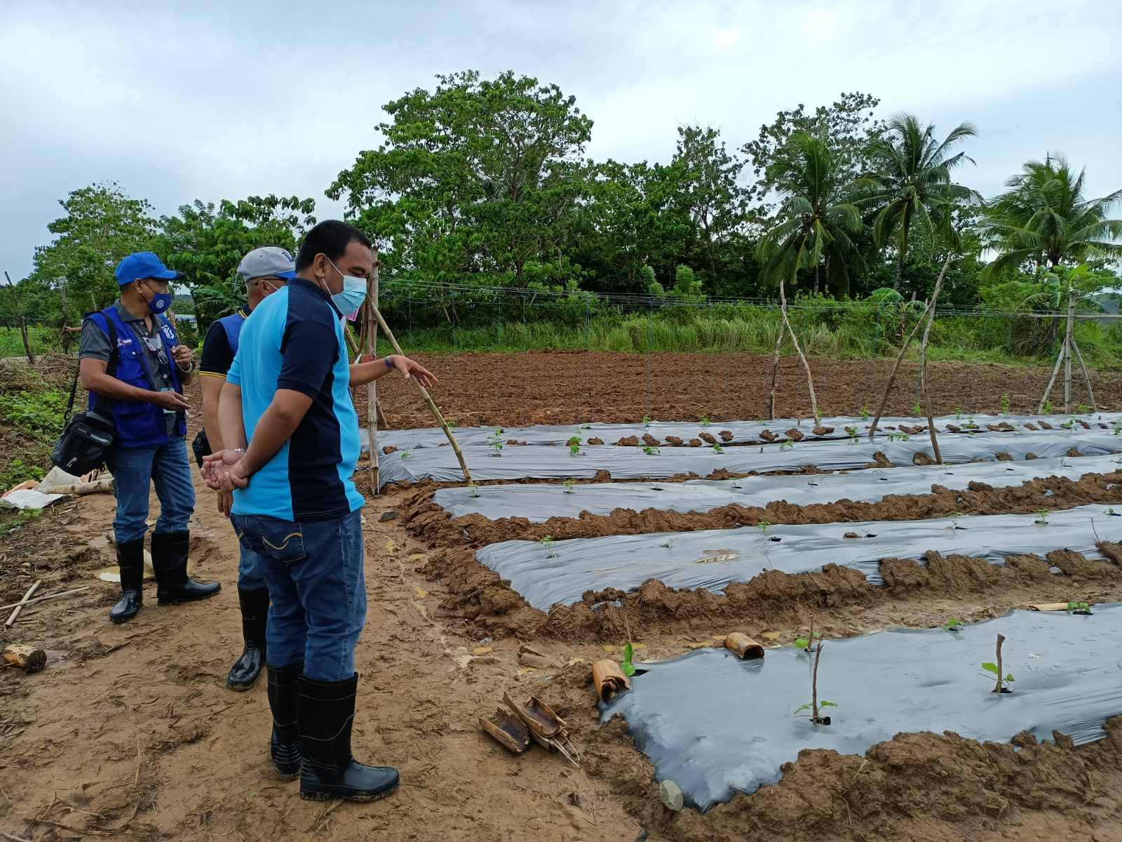 TESDA, naglunsad ng Farmer Field School sa Odiongan at Magdiwang